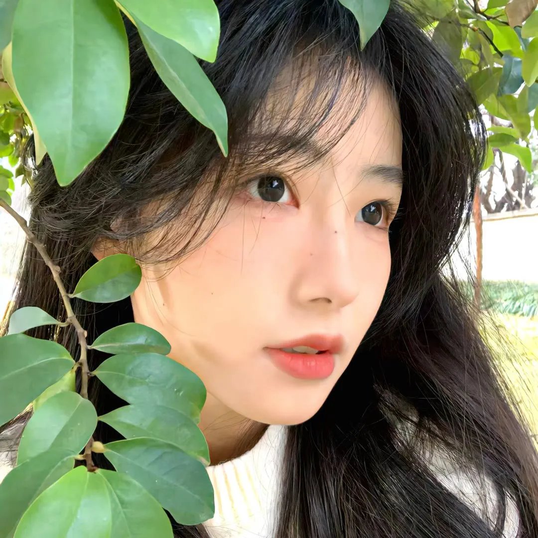 荞麦疯长